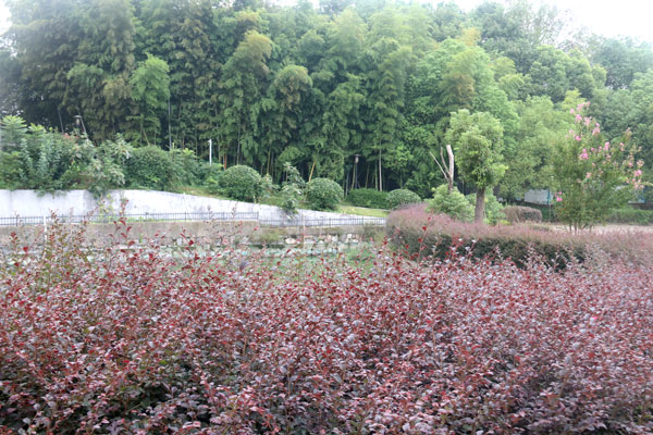 公寓环境 (16)