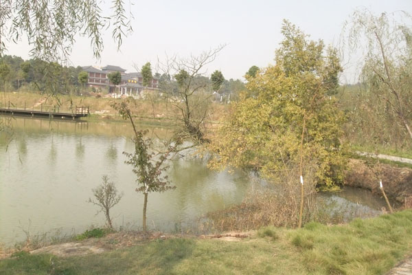 湖边小景