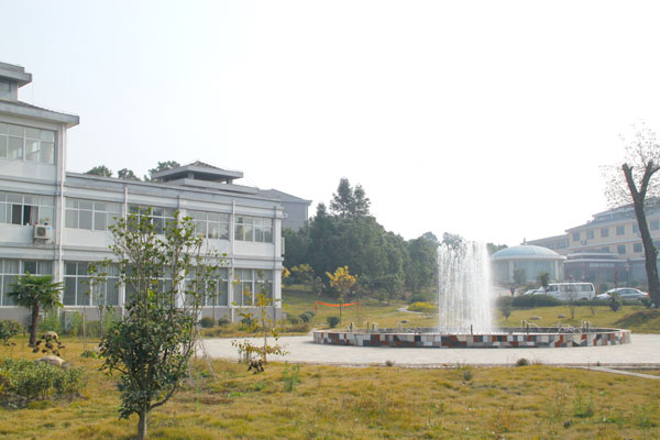 公寓环境 (11)