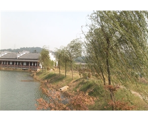 湖边小路